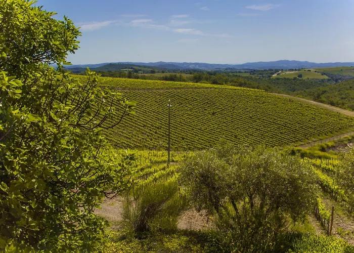 Fattoria Di Magliano Winery