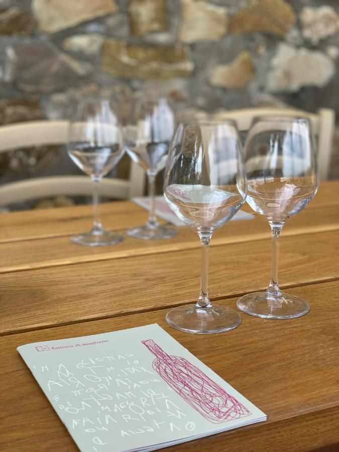 Bauernhof Fattoria Di Magliano Winery
