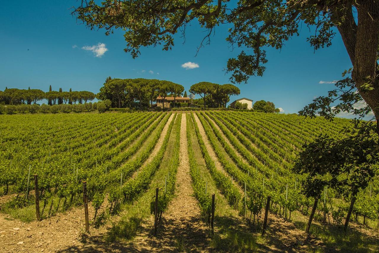 Fattoria Di Magliano Winery * Magliano in Toscana