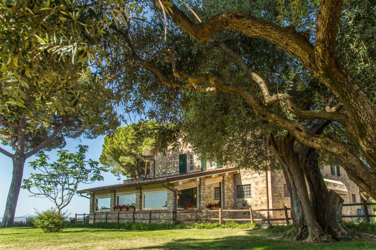 Fattoria Di Magliano Winery *