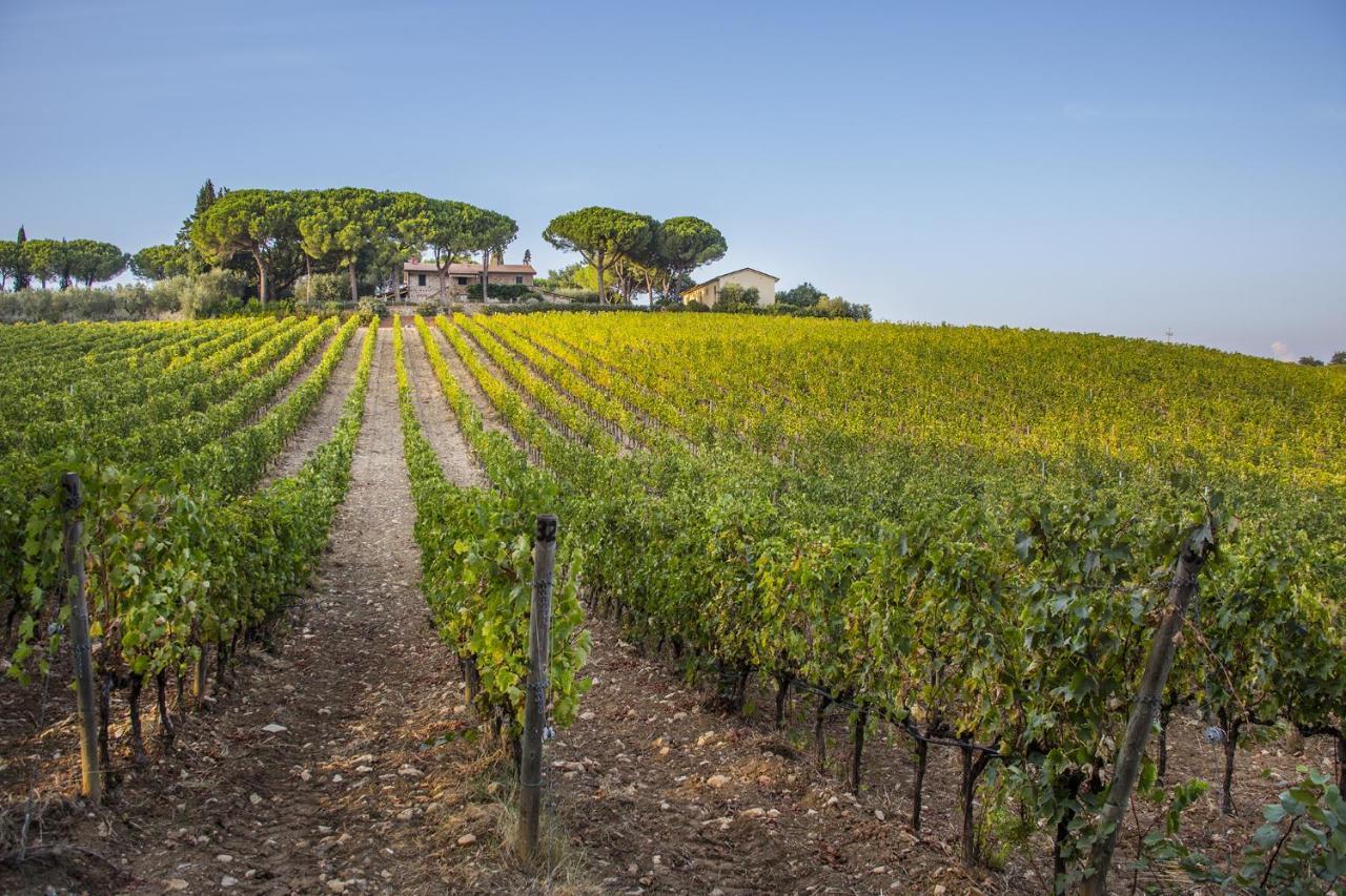 Séjour à la ferme Fattoria Di Magliano Winery *