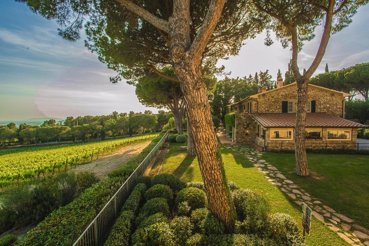 Fattoria Di Magliano Winery *