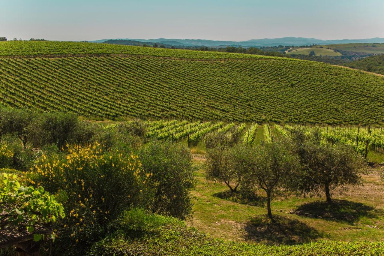 Fattoria Di Magliano Winery *