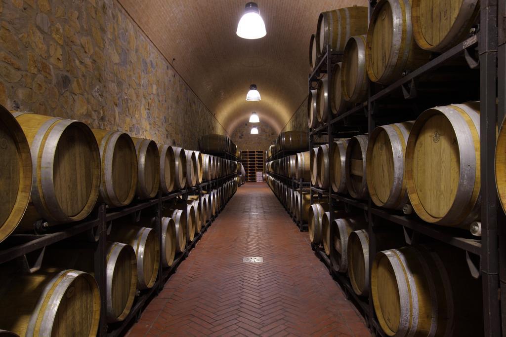 Fattoria Di Magliano Winery Bauernhof